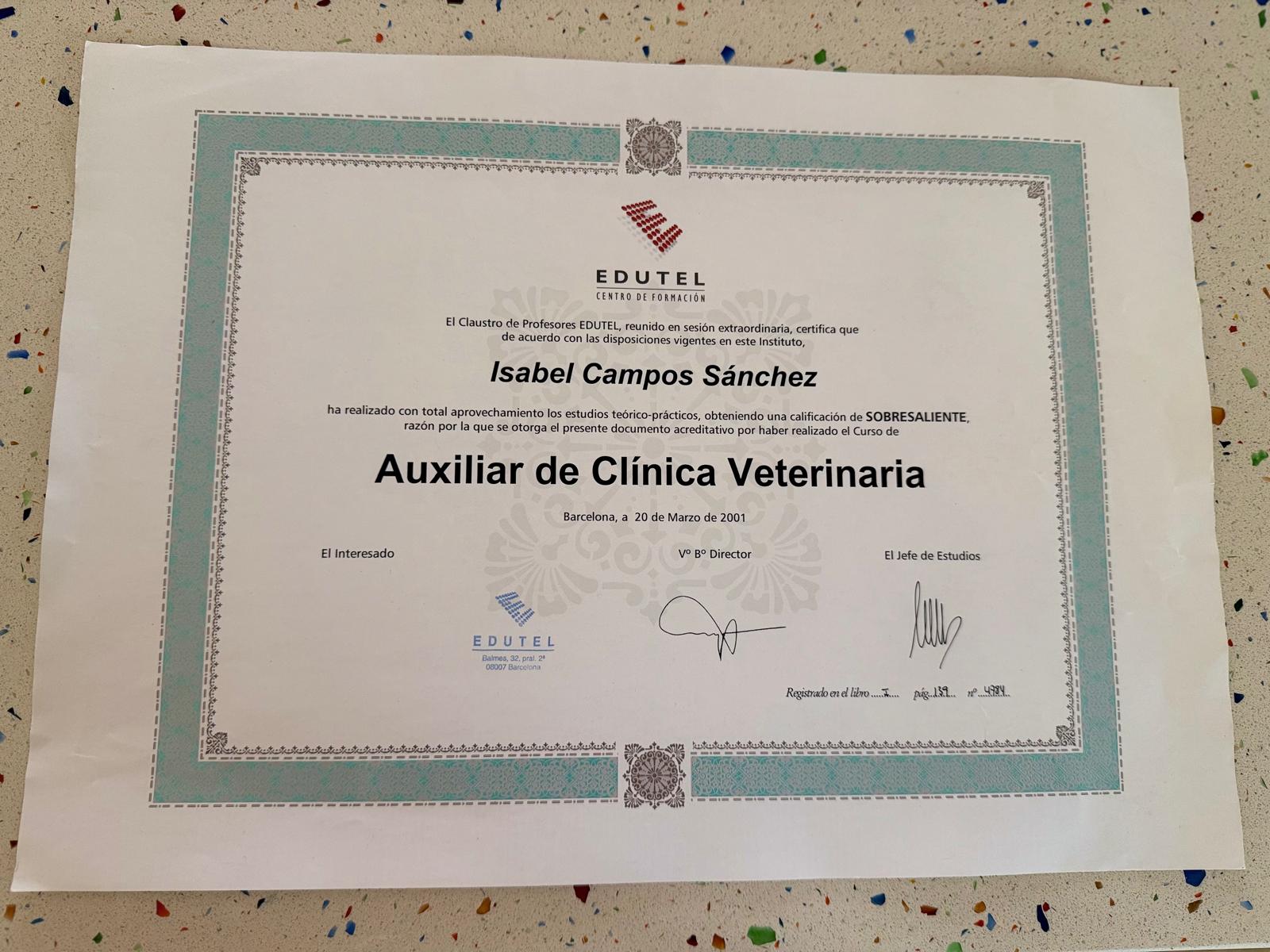 Diploma 11 de Isa