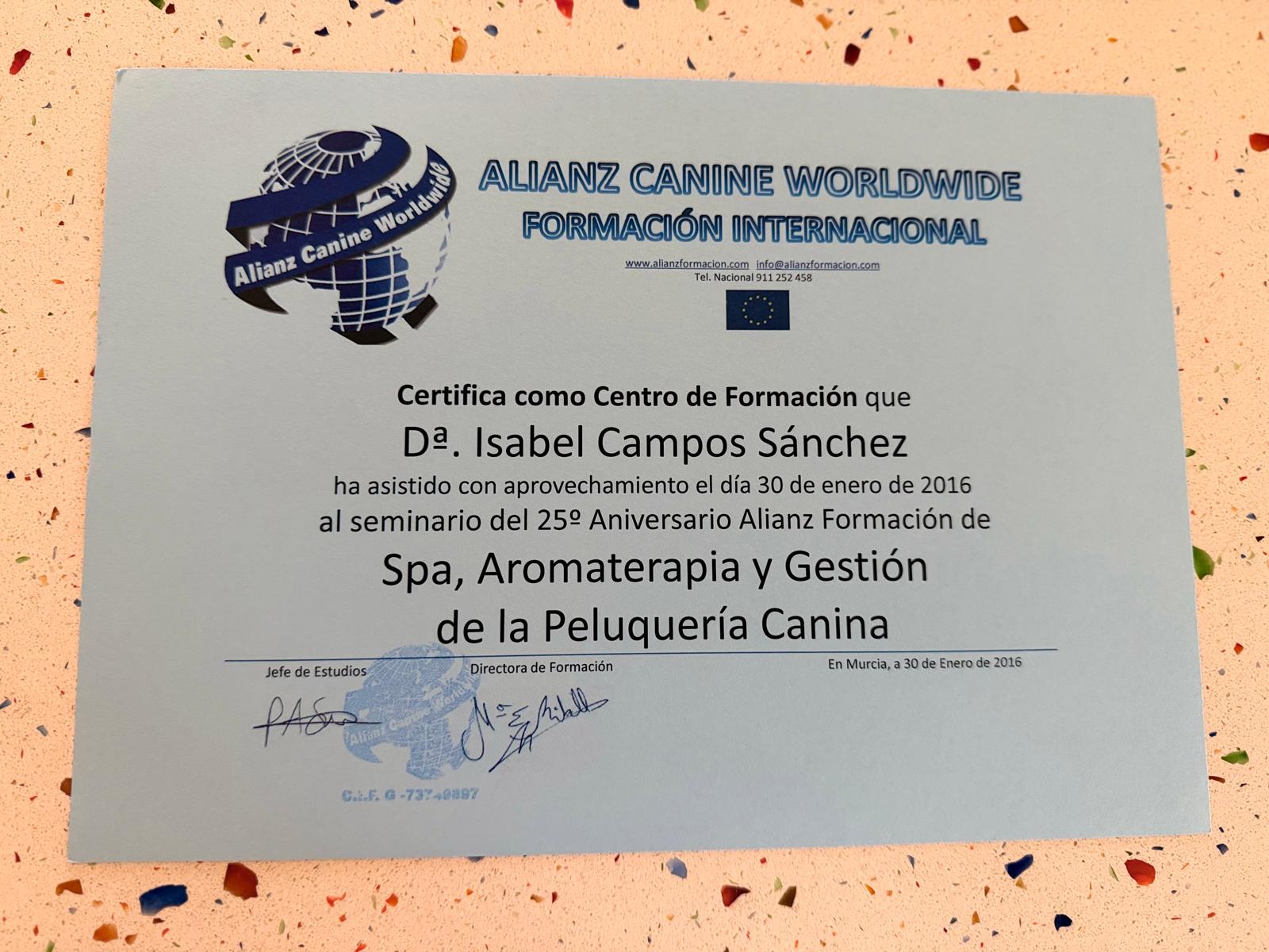 Diploma 4 de Isa