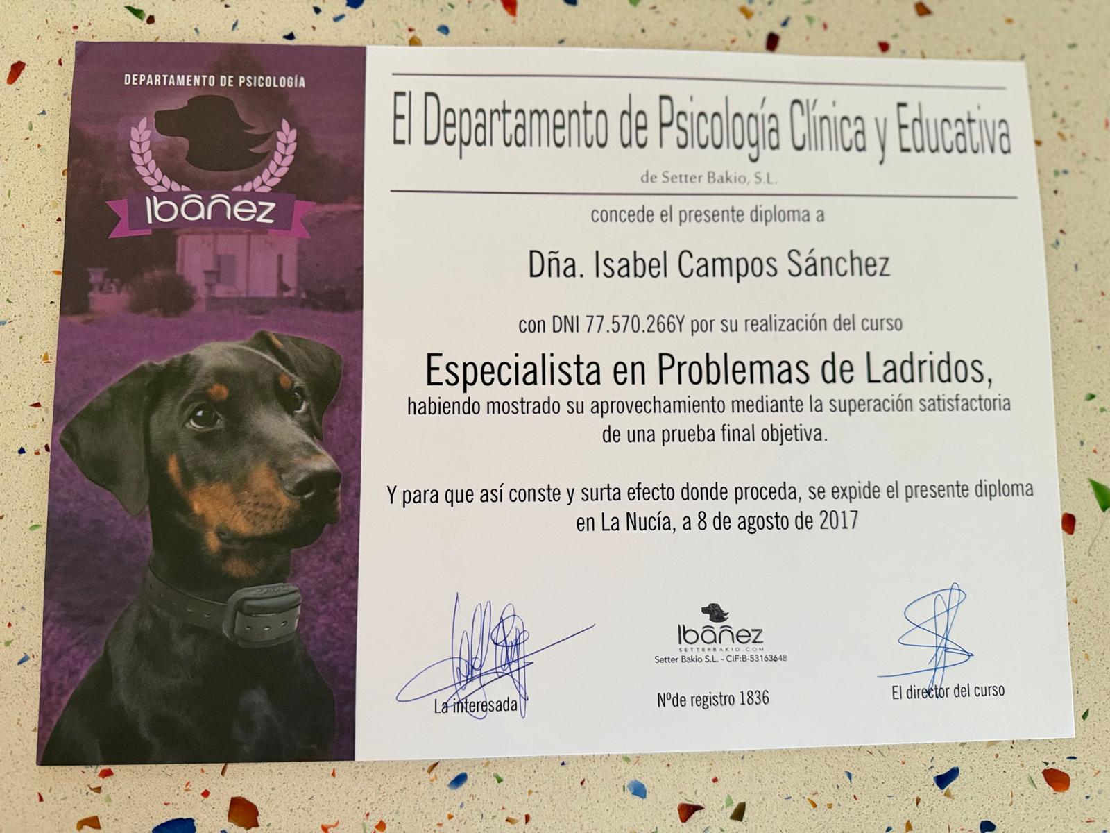 Diploma 6 de Isa