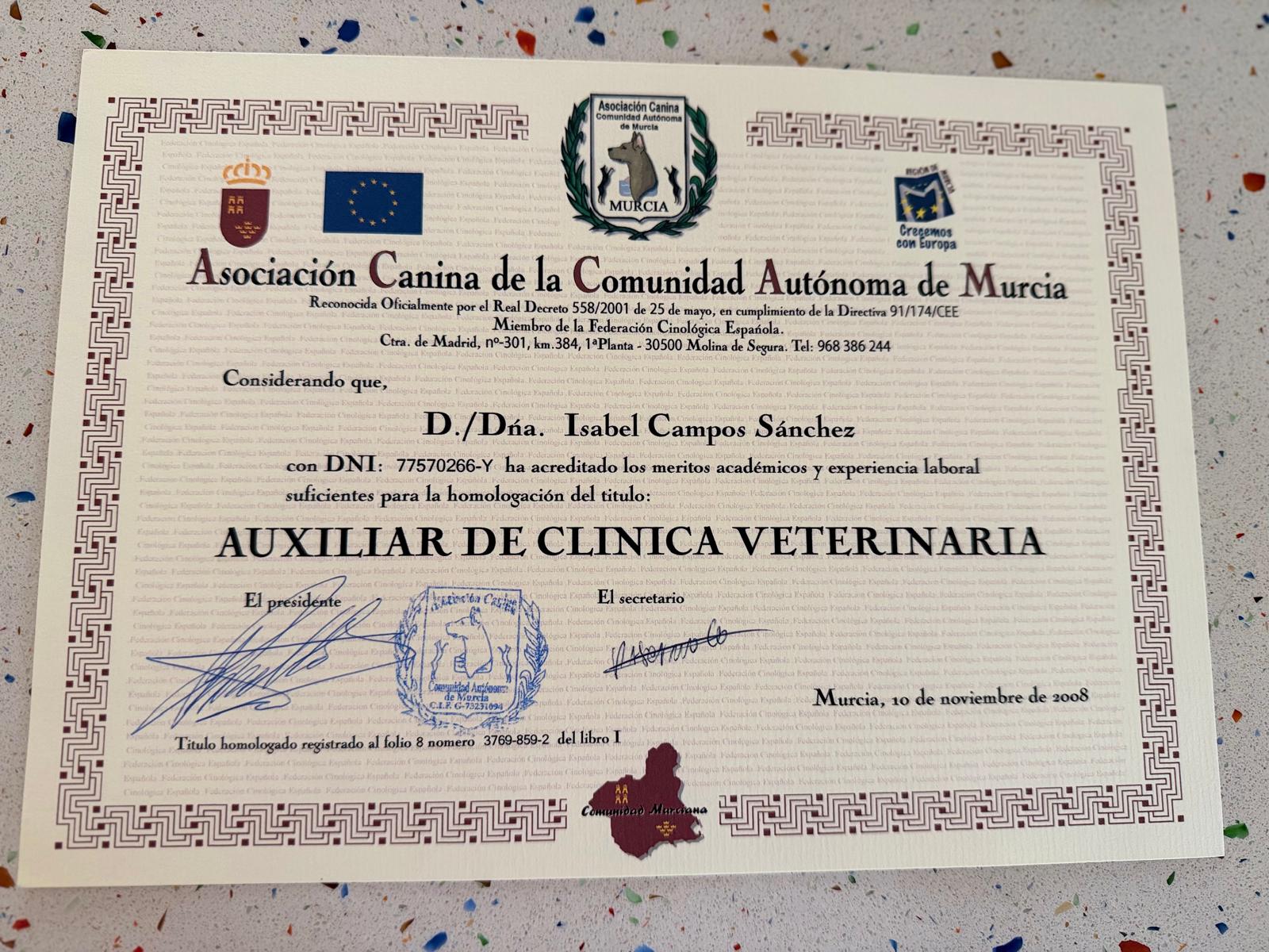 Diploma 7 de Isa